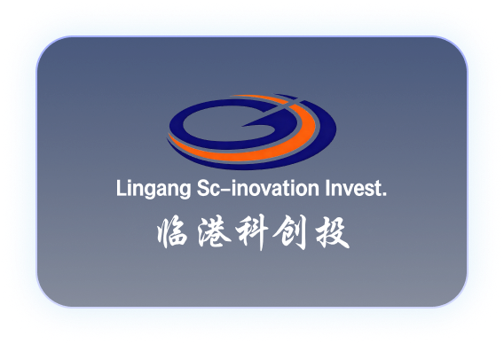 临港科创